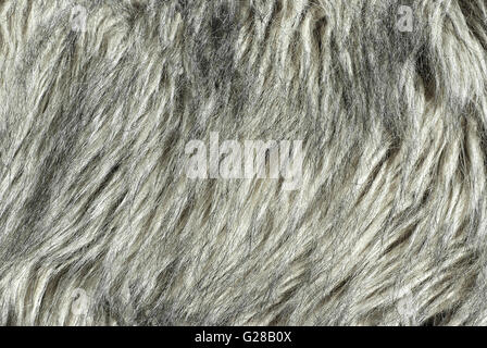 fur texture Stock Photo