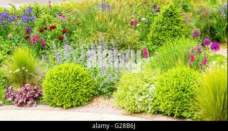 Colourful display of spring flowers in a north London garden, UK. Stock Photo