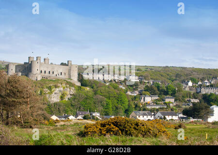 Harlech Castle in Gwynedd North Wales UK Stock Photo