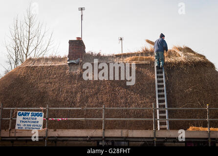 Master thatcher replacing a roof on an old village cottage in UK Stock Photo