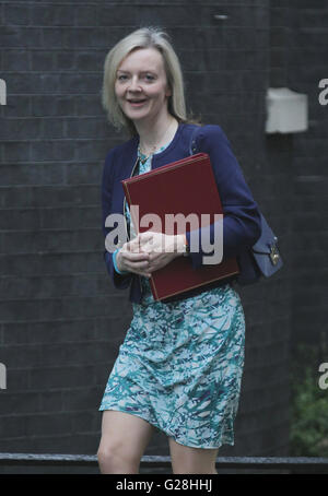 London, UK, 15th Sep 2015: Liz Truss MP, Secretary of State for Environment, Food and Rural Affairs, seen attending the cabinet meeting in Downing Street, London Stock Photo