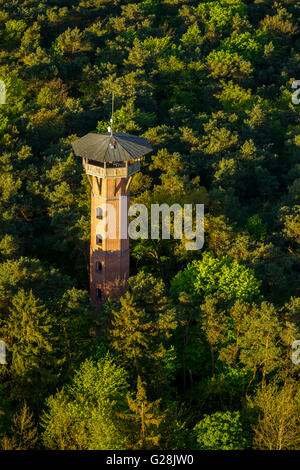 Aerial view, lookout tower in the forest of Krakow on Lake Krakow, Krakow am See, Mecklenburg Lake District, Mecklenburg