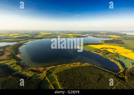aerial-view-fleesensee-in-malchow-mecklenburg-lake-district-canola
