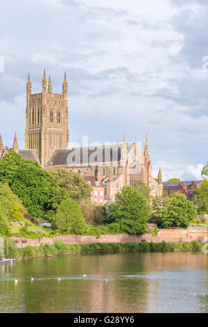 Worcester Cathedral on the River Severn, Worcester, Worcestershire, England, UK Stock Photo