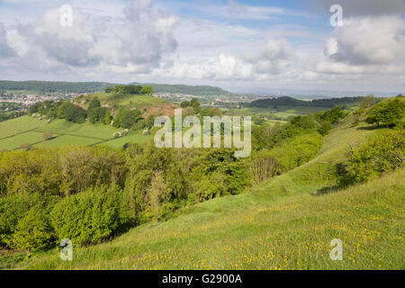 The tree topped Downham Hill in springtime from Uley Bury hillfort near Dursley, Gloucestershire, England,UK Stock Photo