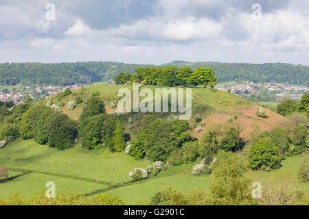 The tree topped Downham Hill in springtime from Uley Bury hillfort near Dursley, Gloucestershire, England,UK Stock Photo