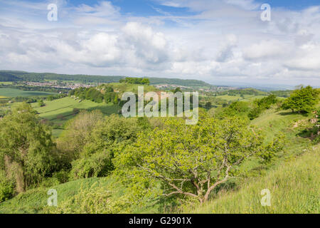 The tree topped Downham Hill in springtime from Uley Bury hillfort near Dursley, Gloucestershire, England,UK Stock Photo