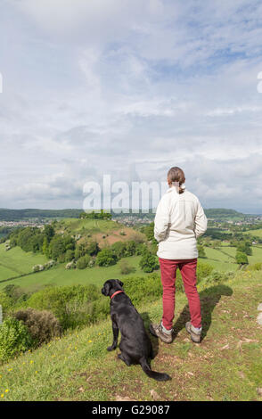 The tree topped Downham Hill in springtime from Uley Bury hillfort near Dursley, Gloucestershire, England,UK Stock Photo