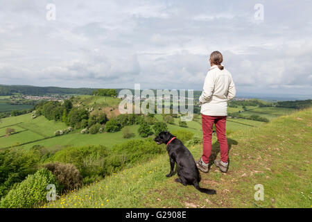 The tree topped Downham Hill in springtime from Uley Bury hillfort near Dursley, Gloucestershire, England,UK Stock Photo