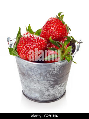 ripe strawberries in metallic bucket; isolated on white background Stock Photo