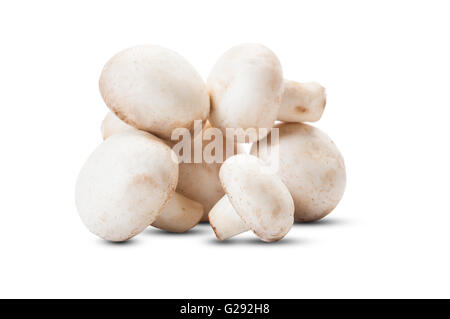 Closeup of bunch of champignon mushrooms isolated on white background Stock Photo
