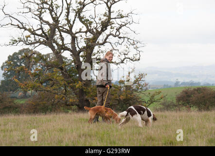 girl with cocker spaniel Stock Photo