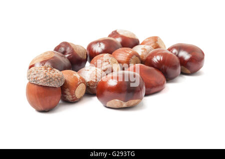 Autumn acorns and chestnuts on white Stock Photo