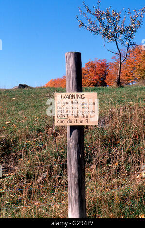 Humorous warning sign about bull in fall pasture, Orange County, Vermont, USA Stock Photo