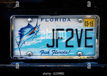 Car number plate, Florida, USA Stock Photo