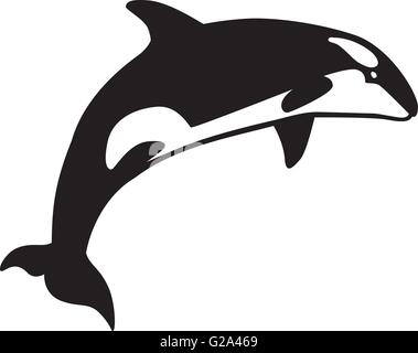 Orca whale jumping Stock Vector