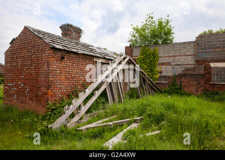 Deserted, unsafe, overgrown 1803 Red brick Farm House, building, in poor repair a dangerous structure in Burscough, Lancashire, UK Stock Photo