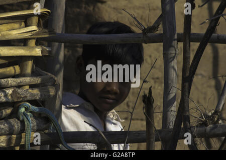 Eyes with a lot of questions, Bandhavgarh Tiger Reserve outskirts, Madhya Pradesh, India Stock Photo