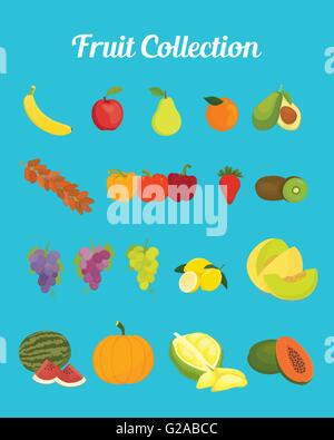 fruit collection images with bright color vector graphic Stock Vector