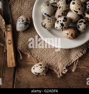 Quail eggs on plate Stock Photo