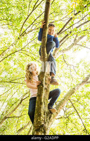 Boy (6-7) and girl (8-9) climbing tree Stock Photo