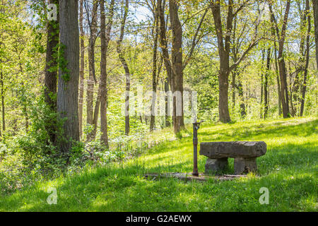 Rough hewn stone bench next to old pump fountain in green shady clearing with woods in background Stock Photo