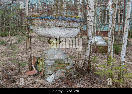 Remains of luxury. Large vase garden overgrown with trees Stock Photo