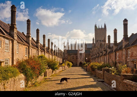 Vicar's Close - the oldest inhabited street in Europe - in Wells, Somerset, England, UK Stock Photo