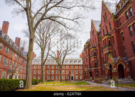 Cambridge, USA - April 29, 2015: Dormitories and Harvard Computer Society Building in Harvard Yard of Harvard University Stock Photo