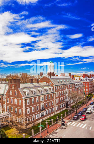 Aerial view on John F Kennedy Street in Harvard University Area in Cambridge, Massachusetts, USA. Stock Photo