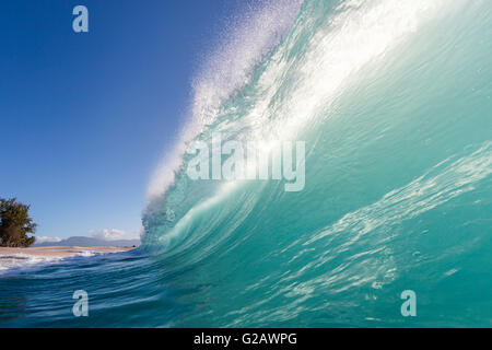 A late afternoon back lit shore break wave at Keiki beach on the North Shore. Stock Photo
