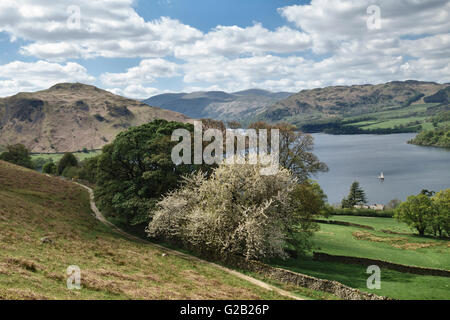 Ullswater (in the Lake District), Cumbria, UK. View over the lake towards Glenridding and Helvellyn in springtime (May) Stock Photo