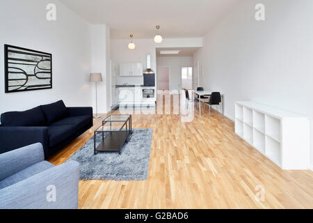 Conversion of Dach or Loft Space in Reichenberger Strasse, Kreuzberg. Open plan loft living. View of a modern living area and kitchen with modern dining table. Wood floors and white walls. Minimal decoration. Stock Photo