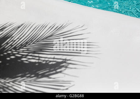 Leaf shadow pattern on white at pool edge, Fundacion Cesar Manrique, Tahiche, Lanzarote, Canary Islands, Spain Stock Photo