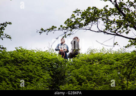 Biology students on excursion to a nature reserve in the Lower Rhine. Stock Photo