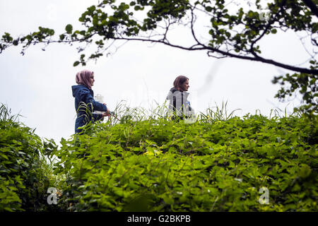 Biology students on excursion to a nature reserve in the Lower Rhine. Stock Photo