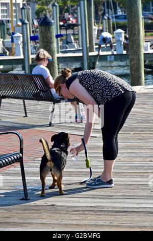 A woman giving her dog water on a hot day Stock Photo