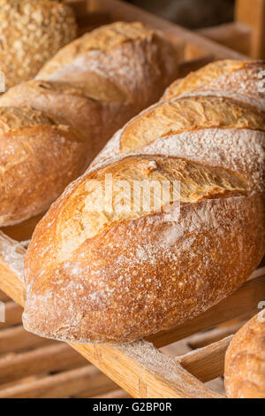 A freshly baked loaf of bread rests on a wooden cutting board beside a ...