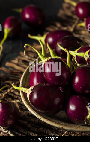 Organic Raw Baby Indian Eggplants in a Bowl Stock Photo