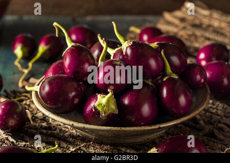 Organic Raw Baby Indian Eggplants in a Bowl Stock Photo