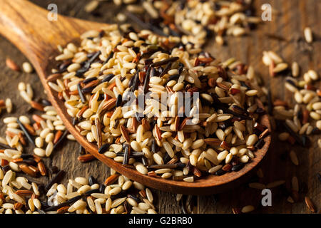 Raw Dry Organic Wild Rice in a Bowl Stock Photo