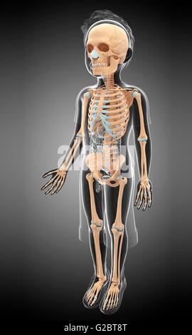 Skeletal system of a child, illustration. Stock Photo