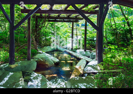 One the the rotenburo outdoor baths at Yarimikan ryokan in Gifu, Japan. This is the Ashibukuro, or foot bath. Stock Photo