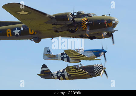 Boeing B-17 Flying Fortress 'Sally B' being escorted by a P-51 Mustang and P-47 Thunderbolt at an airshow Stock Photo