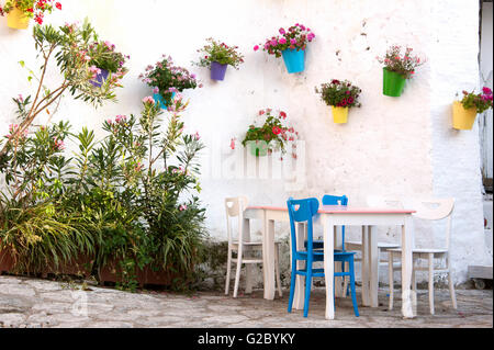 Cafe decorated with flowers on the wall, Marmaris, Provinz Muğla, Ägäisregion, Türkei, Turkey Stock Photo