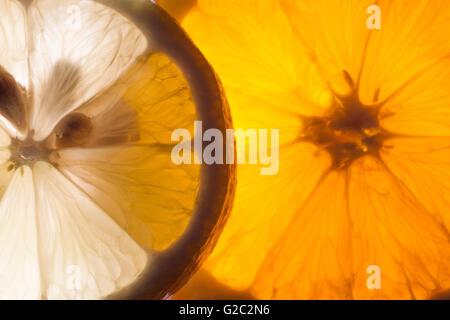 Extreme closeup of translucent orange and lemon slices glowing with light Stock Photo