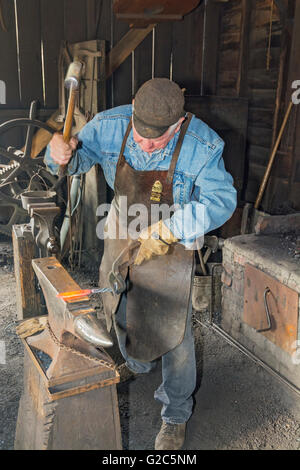 California, Coloma, Marshall Gold Discovery State Historic Park, blacksmith forming knife bladel on anvil Stock Photo