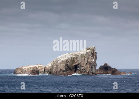 Main group of the Bounty Islands, New Zealand Stock Photo
