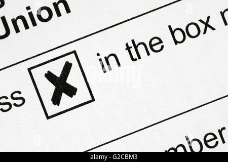 X in the box details on Referendum on the United Kingdom's membership of the European Union 16 voting form Stock Photo