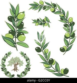 Vector frame with olive branch. Hand drawn circle frame illustration with olive tree. Stock Vector